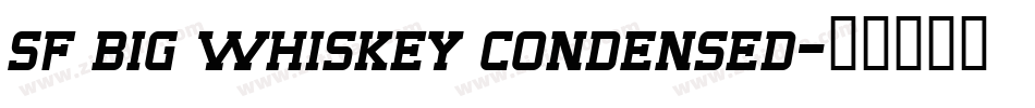 sf big whiskey condensed字体转换